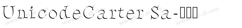 UnicodeCarter Sa字体转换